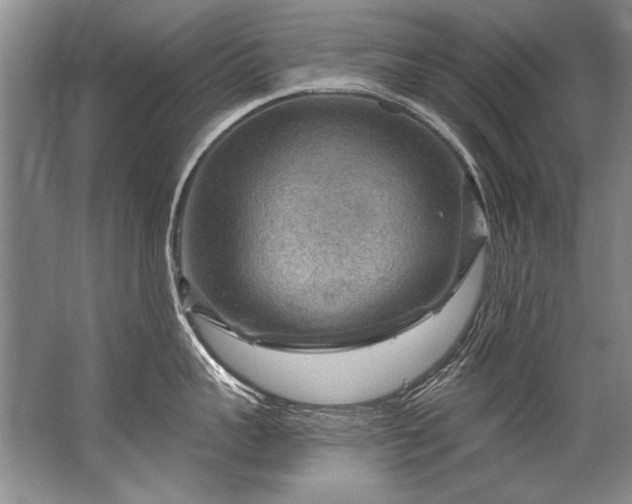 X0000067530959200604150222