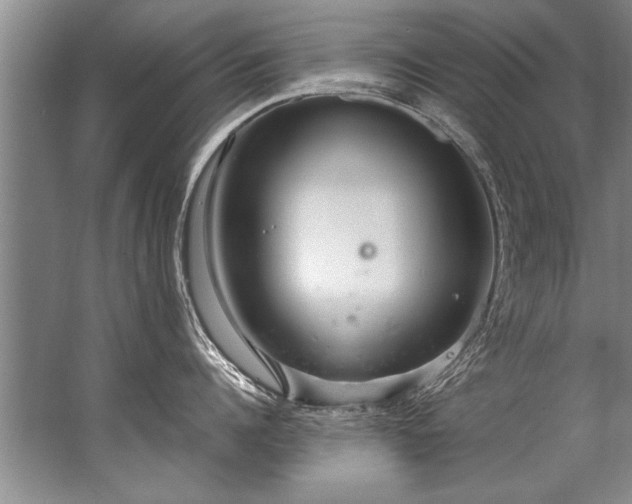 X0000067530960200604150222