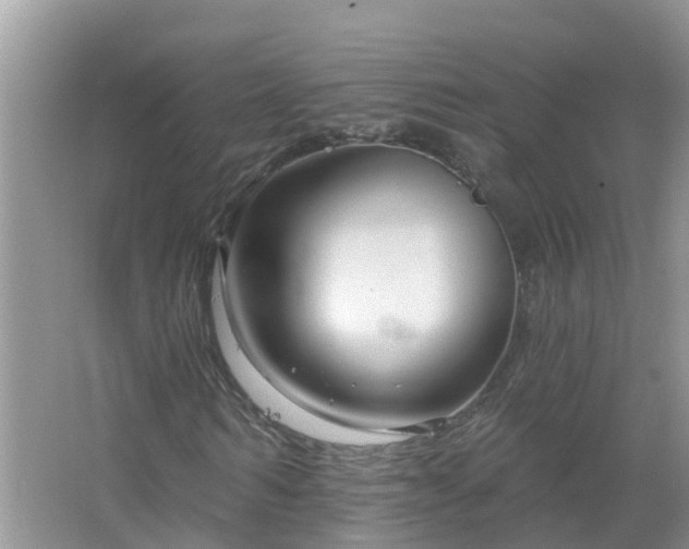 X0000067530962200604150221