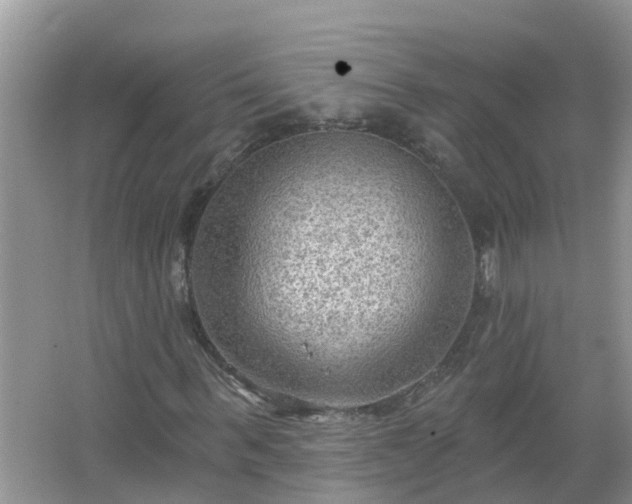 X0000067530963200604150221