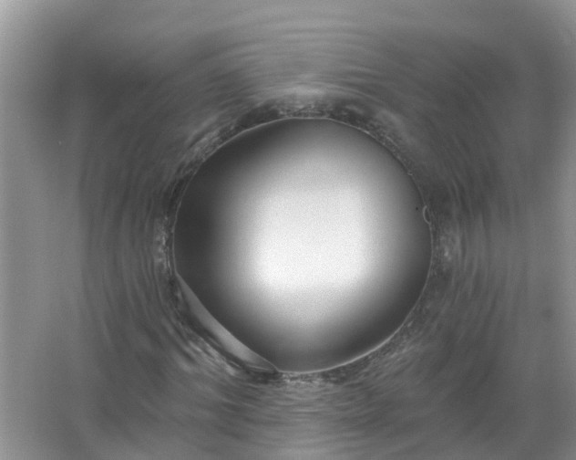 X0000067530964200604150221