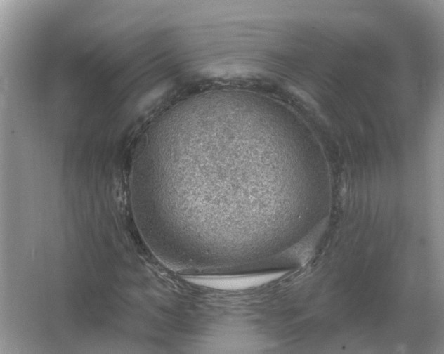 X0000067530966200604150221