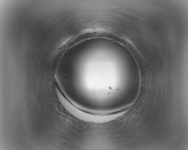 X0000067530967200604150221