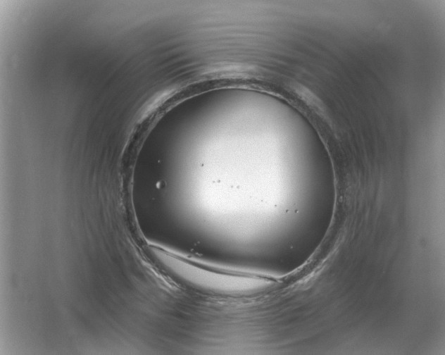 X0000067530970200604150221