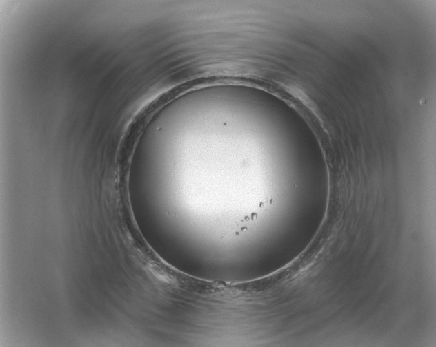 X0000067530971200604150221