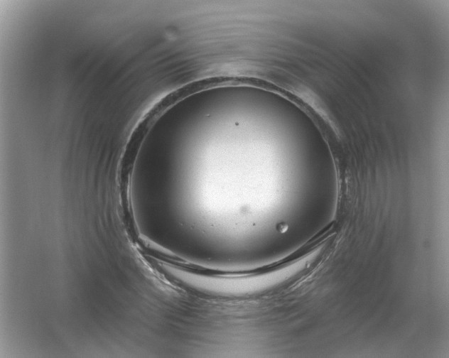 X0000067530972200604150221