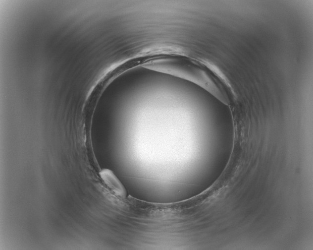 X0000067530973200604150221