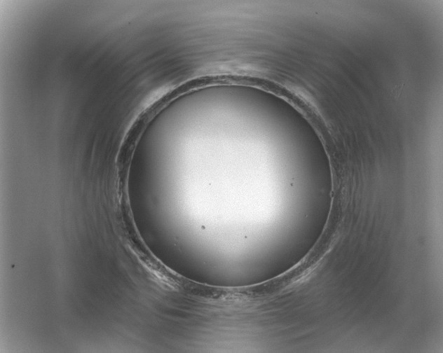 X0000067530974200604150221