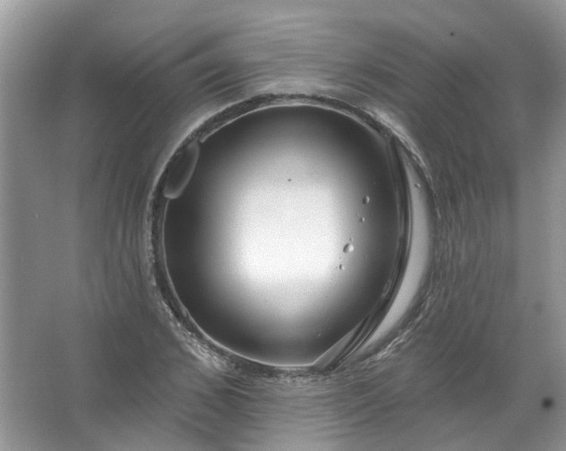 X0000067530976200604150221