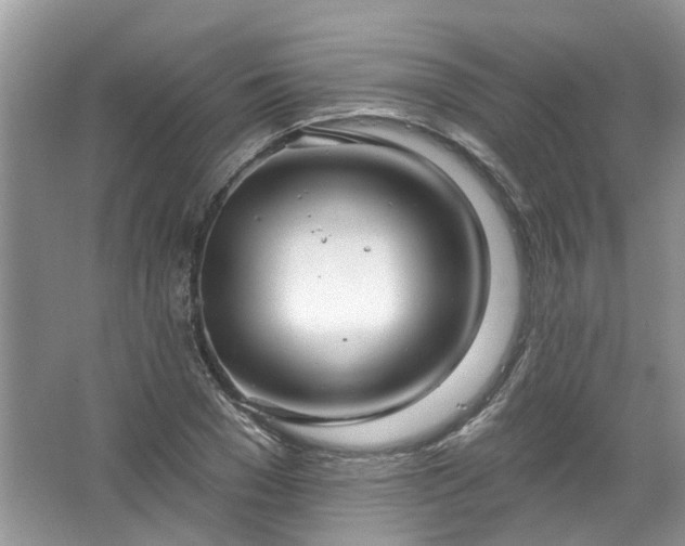 X0000067530977200604150221