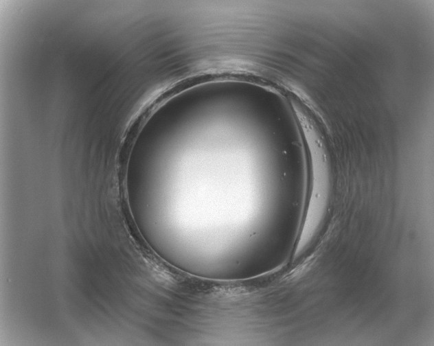 X0000067530978200604150221