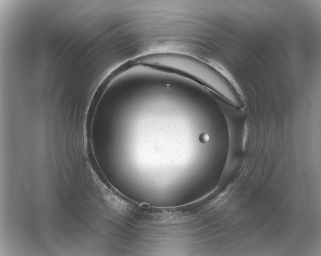 X0000067530980200604150221