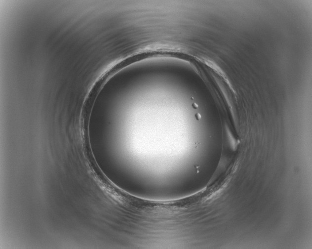 X0000067530981200604150221