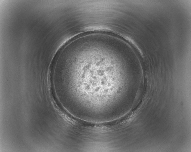 X0000067530983200604150221