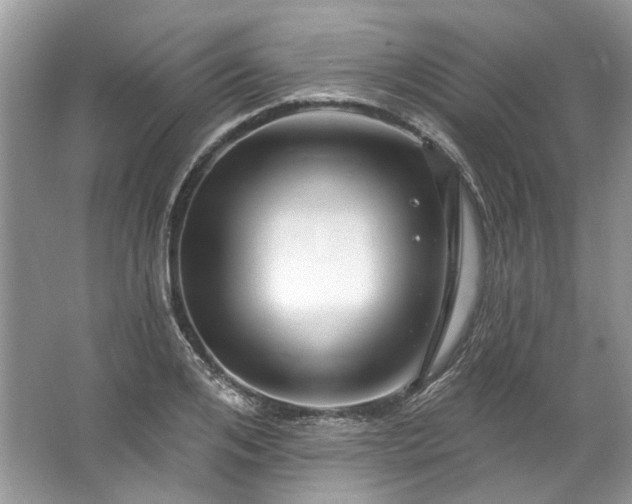 X0000067530984200604150221