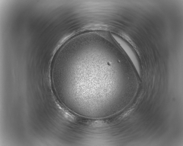 X0000067530986200604150221