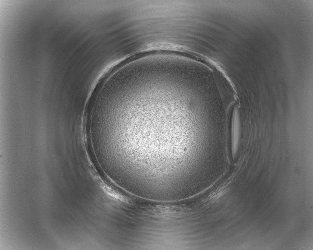 X0000067530987200604150221