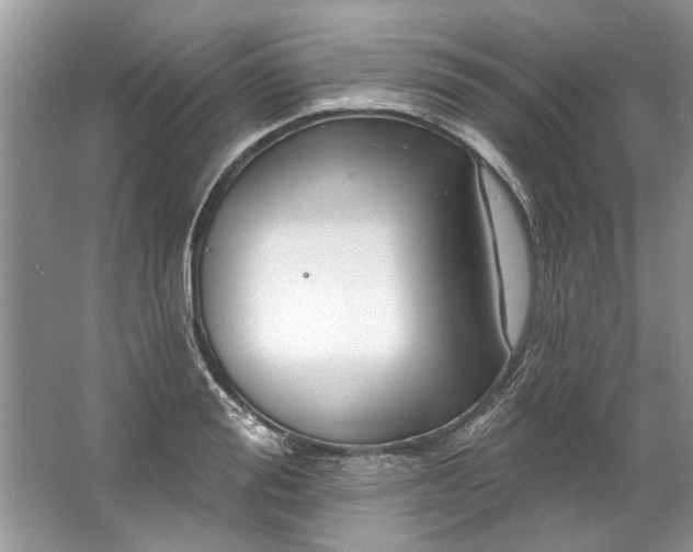 X0000067530988200604150221