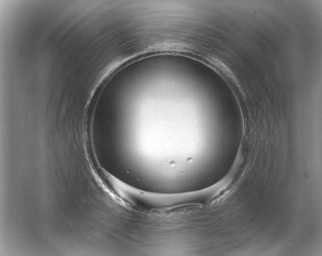 X0000067530989200604150221