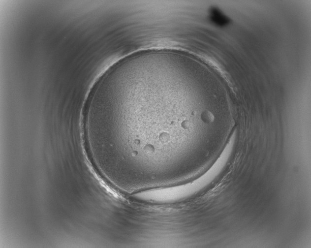 X0000067530990200604150221