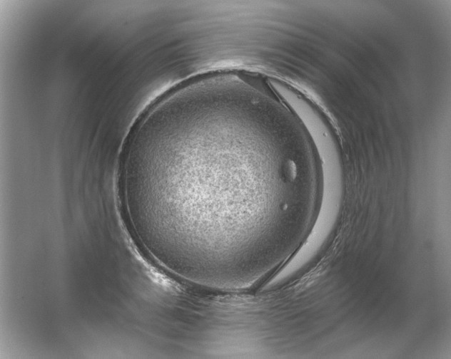 X0000067530991200604150221