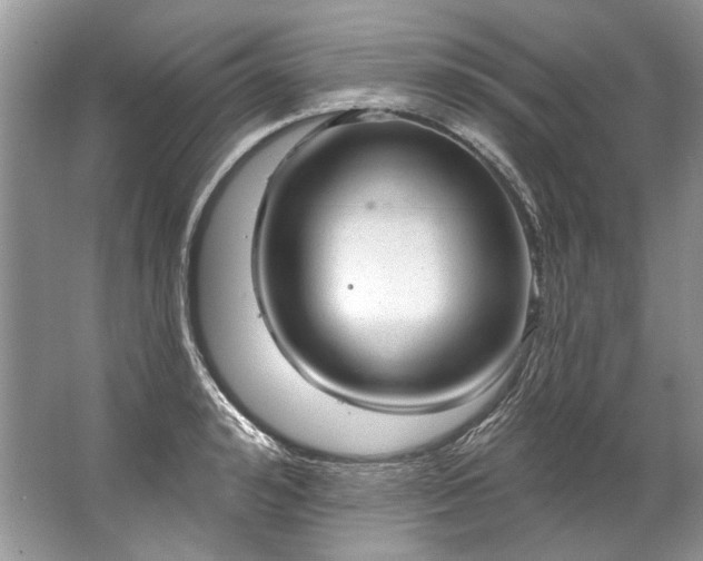 X0000067530992200604150221