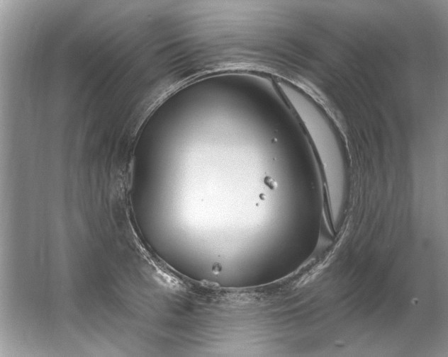 X0000067530993200604150221