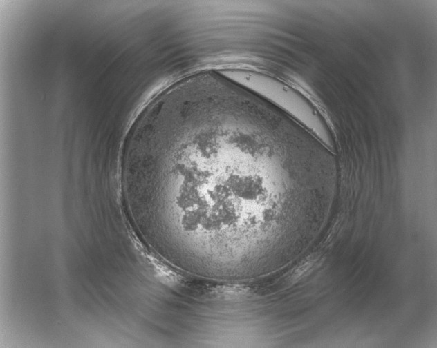 X0000067530994200604150221