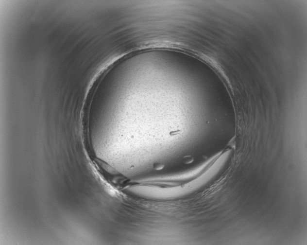 X0000067530995200604150221