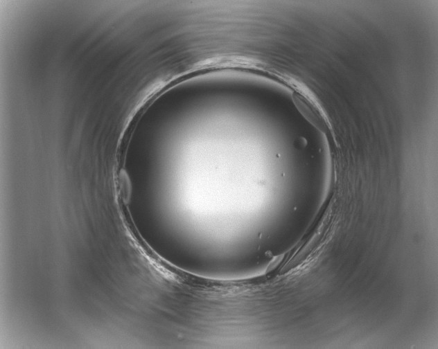 X0000067530997200604150221