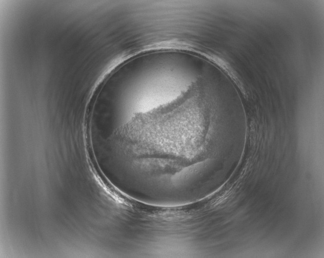 X0000067530998200604150221