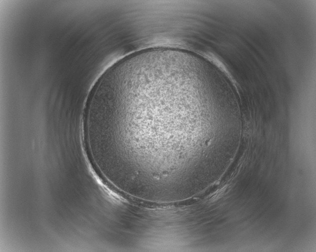 X0000067530999200604150221