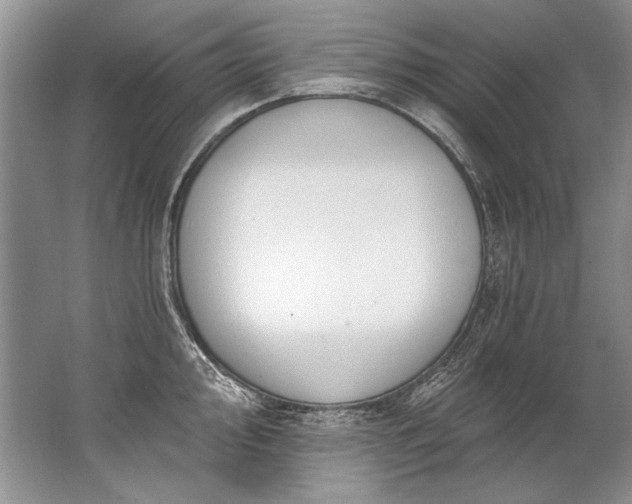 X0000067531000200604150221