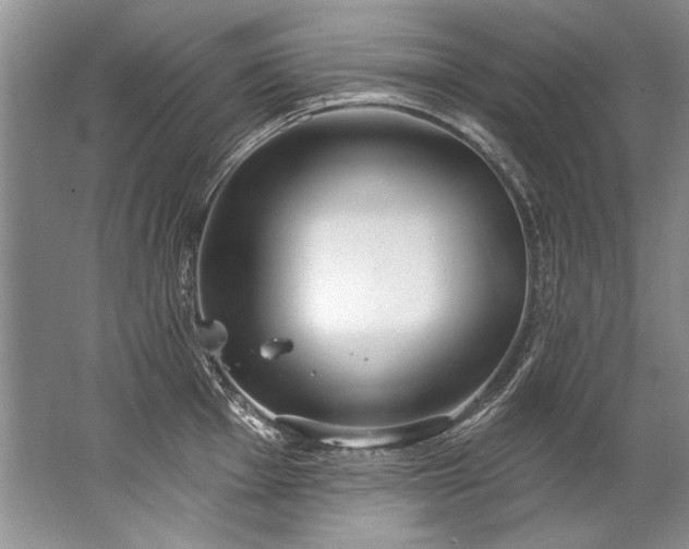 X0000067531001200604150221