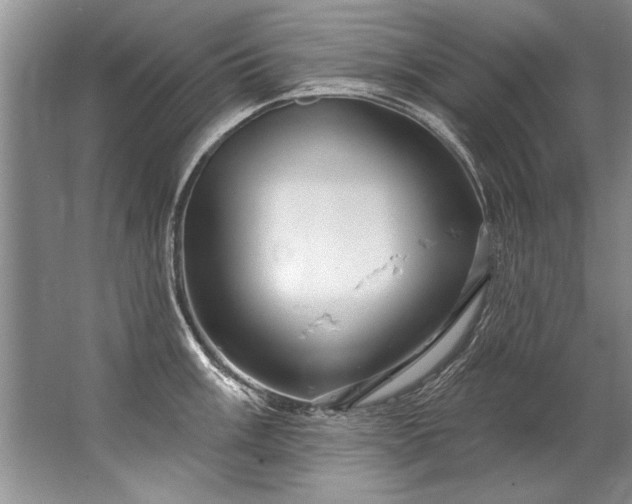 X0000067531003200604150221