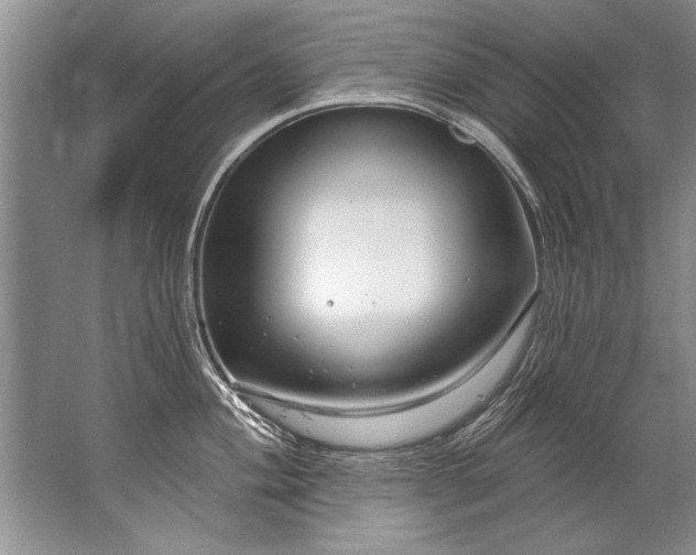 X0000067531004200604150221