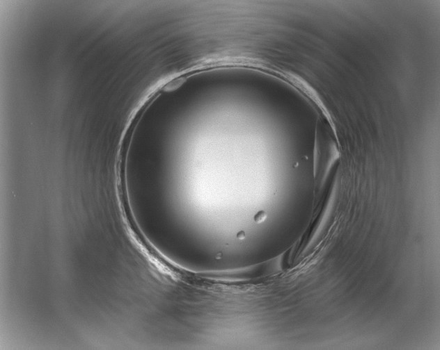 X0000067531005200604150221