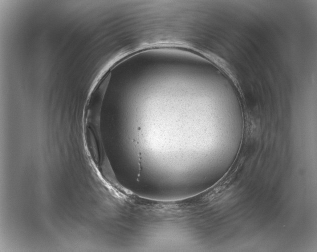 X0000067531006200604150221