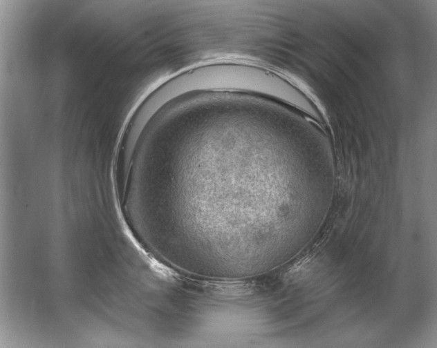 X0000067531007200604150221