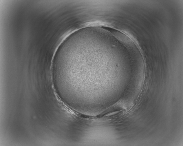 X0000067531008200604150221