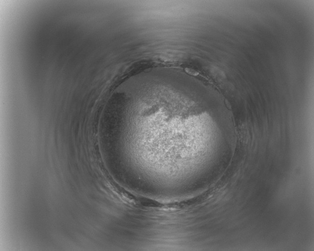 X0000067531009200604150220