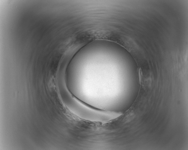 X0000067531010200604150220