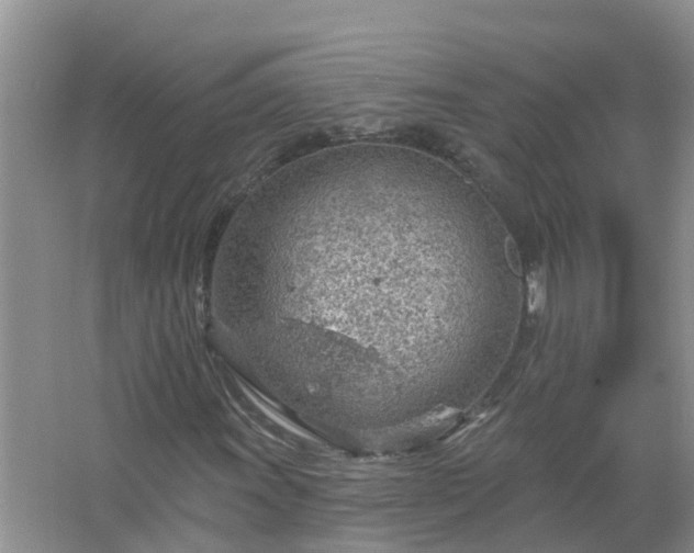 X0000067531011200604150220