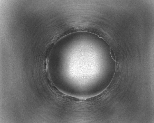 X0000067531012200604150220