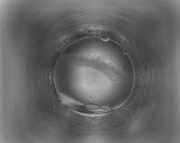 X0000067531013200604150220