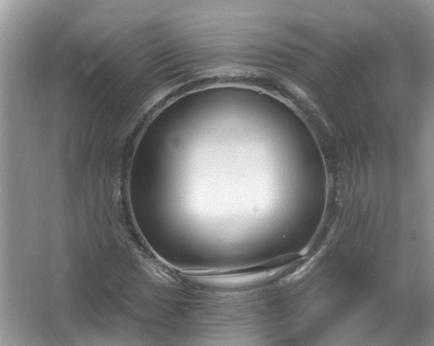 X0000067531017200604150220