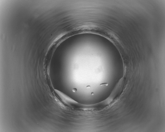 X0000067531018200604150220