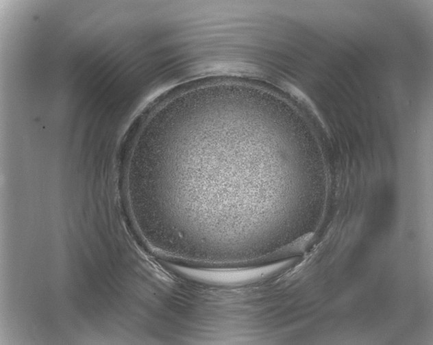 X0000067531019200604150220