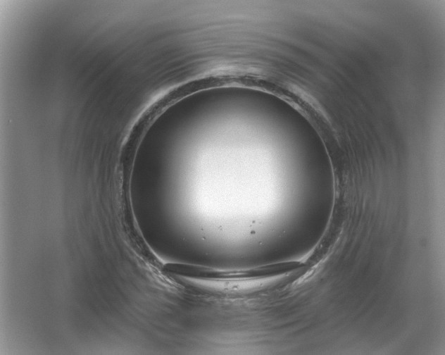 X0000067531021200604150220