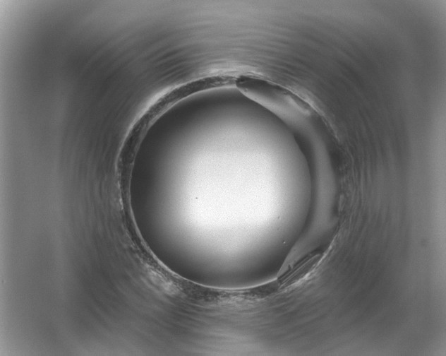 X0000067531022200604150220